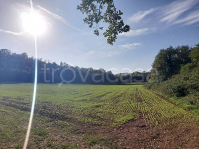 Terreno Agricolo in vendita a Soiano del Lago via Monticelli