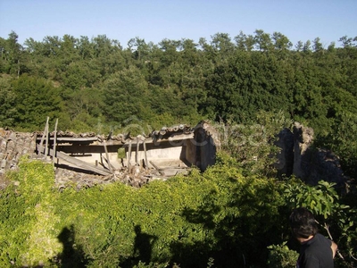 Terreno Agricolo in vendita a Soriano nel Cimino strada Vicinale di Valle Santa