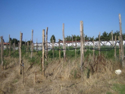 Terreno Agricolo in vendita a Sperlonga via Flacca, 43
