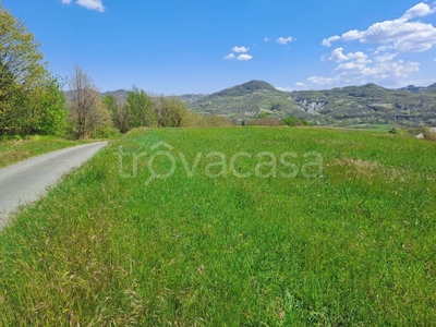 Terreno Agricolo in vendita a Spigno Monferrato regione Bricchetto