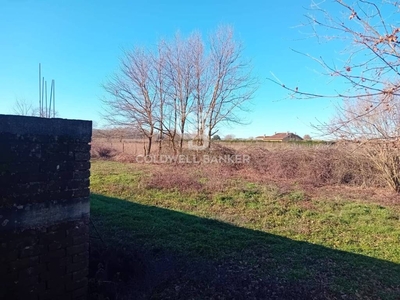 Terreno Agricolo in vendita a Sutri strada creti