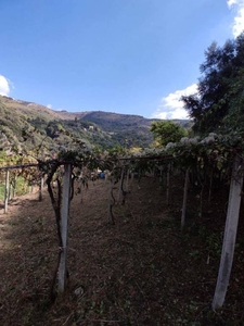 Terreno Agricolo in vendita a Tivoli via degli stabilimenti, snc