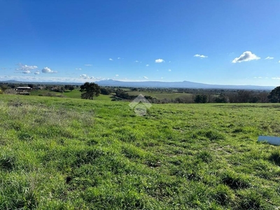 Terreno Agricolo in vendita a Tuscania località Mandria Consalvi