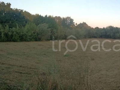 Terreno Agricolo in vendita a Velletri via Appia Antica