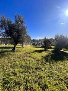 Terreno Agricolo in vendita a Velletri via Capanna Murata