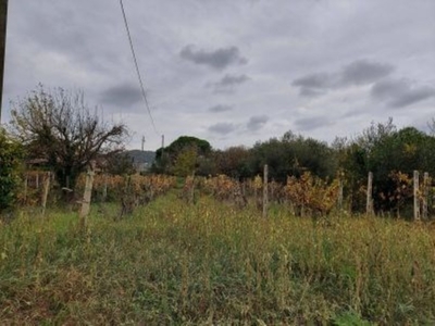 Terreno Agricolo in vendita a Velletri via Colle dei Marmi, 104