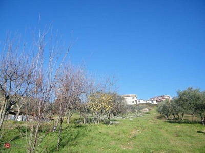 Terreno Agricolo in vendita ad Alatri via accorciatoia cosciano