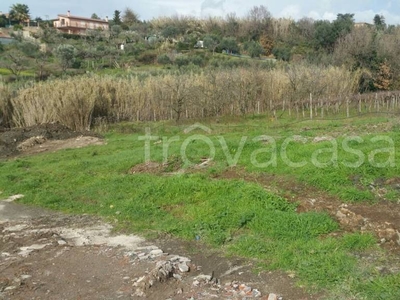 Terreno Agricolo in vendita ad Albano Laziale via Montagnano, 52/b