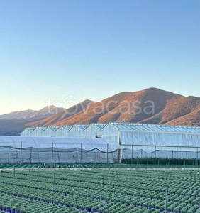 Terreno Agricolo in vendita ad Albenga regione Antognano