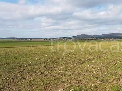 Terreno Agricolo in vendita ad Altamura strada Comunale Esterna 22 Parisi Vecchia