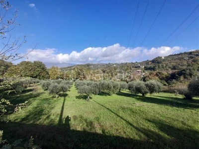 Terreno Agricolo in vendita ad Anagni via Fossate della Badia