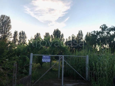 Terreno Agricolo in vendita ad Anzio via del Nocciolo