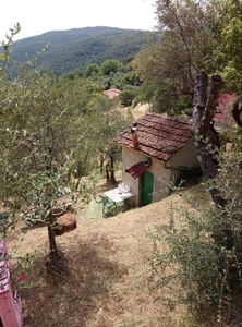 Terreno Agricolo in vendita ad Arcola strada Comunale romito-trebiano, 00