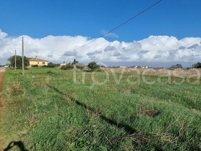 Terreno Agricolo in vendita ad Ardea via delle Poinsezie