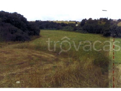 Terreno Agricolo in vendita ad Ardea via Nicola Strampelli