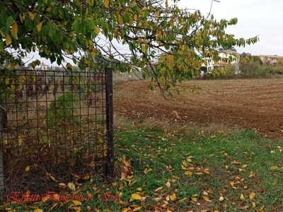 Terreno Agricolo in vendita ad Artena via Valli