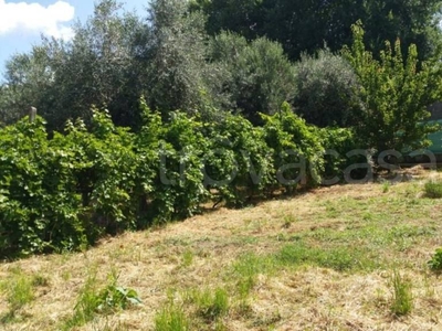 Terreno Agricolo in vendita ad Ascoli Piceno