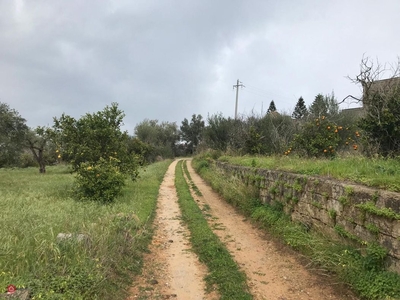 Terreno agricolo in Vendita in Contrada Cefala' a Casteldaccia