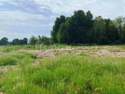 Terreno Residenziale in vendita a Borghetto Lodigiano strada Provinciale 23