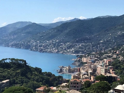 Terreno Residenziale in vendita a Camogli via Pissorella