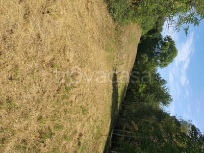 Terreno Residenziale in vendita a Castiglione Torinese strada Madonnina, 49