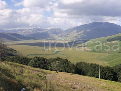 Terreno Residenziale in vendita a Castorano strada provinciale