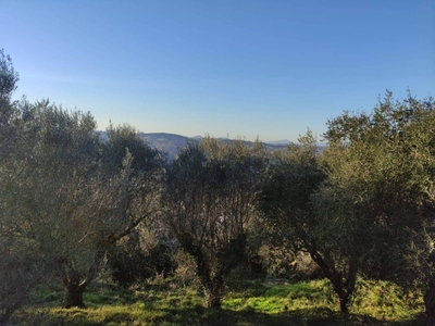 Terreno Residenziale in vendita a Formello via delle Porcineta