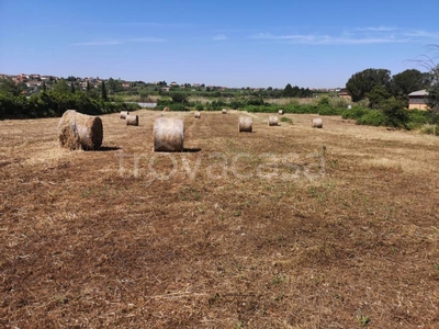 Terreno Residenziale in vendita a Monte Compatri via Santa Maria le Quinte