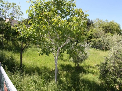 Terreno Residenziale in vendita a Monteprandone via tevere