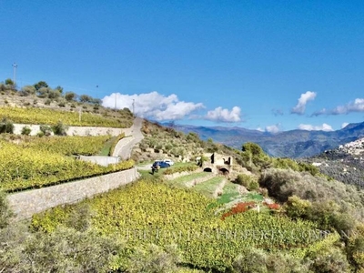 Terreno Residenziale in vendita a Perinaldo strada Provinciale