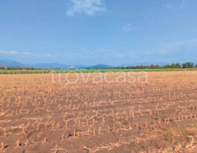 Terreno Residenziale in vendita a Pontinia strada Migliara 53 Destra, 46