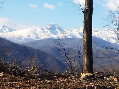 Terreno Residenziale in vendita a Valdilana valle Mosso crocemosso,