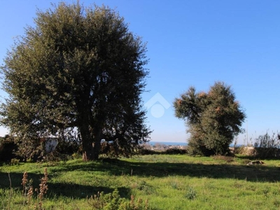 Terreno Residenziale in vendita ad Anzio via Ugo Foscolo, 12