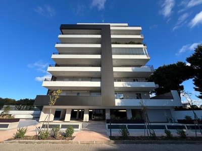 Appartamento in Via Domenico Cotugno , Bari (BA)