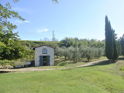 Azienda Agricola Nel Comune Di Terricciola In Incantevole Posizione Panoramica