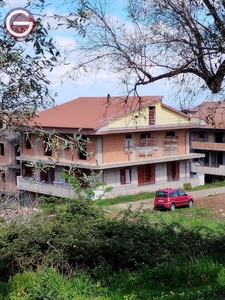 Vendita Casa Indipendente in Molochio