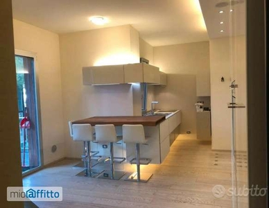 Appartamento arredato con terrazzo Milano marittima