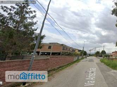 Bilocale arredato Lunghezza, castelverde, ponte di nona, acqua vergine