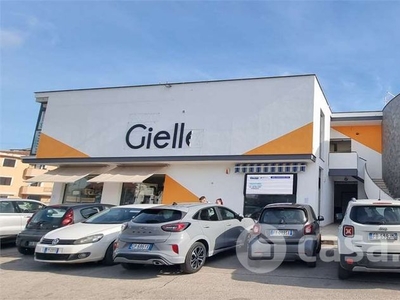 Negozio/Locale commerciale in Vendita in Viale San Lorenzo 26 a Ardea