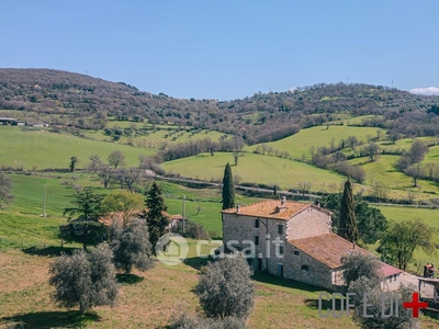 Rustico/Casale in Vendita in Località Pianacce a Sorano