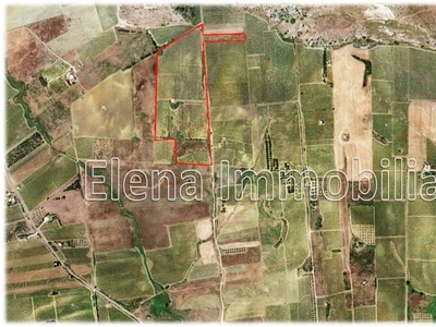 Terreno Agricolo in vendita a Calatafimi Segesta