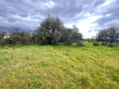 Terreno Agricolo in vendita a Carini