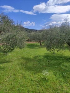 Terreno Agricolo in vendita a Casteldaccia