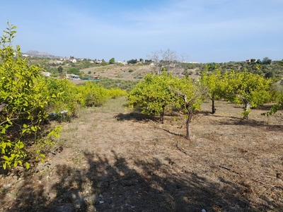 Terreno Agricolo in vendita a Casteldaccia