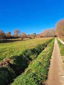 Terreno Agricolo in vendita a Civitella in Val di Chiana - Zona: Albergo