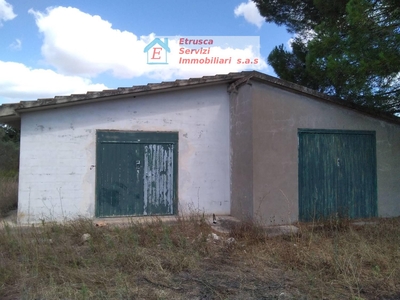 Terreno Agricolo in vendita a Piombino - Zona: Riotorto