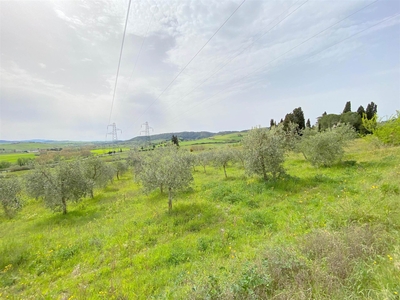 Terreno Agricolo in vendita a Rosignano Marittimo - Zona: Castelnuovo della Misericordia