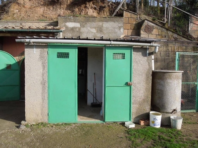 Terreno Agricolo in vendita a Sorano