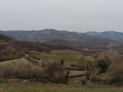 Terreno Agricolo in vendita a Sorano