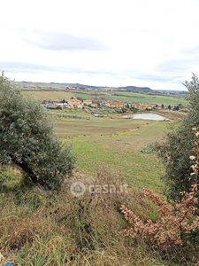 Terreno agricolo in Vendita in a Castellina Marittima
